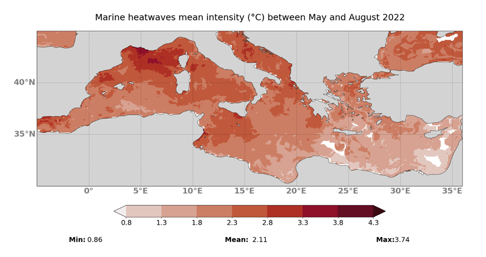 Months-long marine heatwave in Mediterranean Sea still ongoing