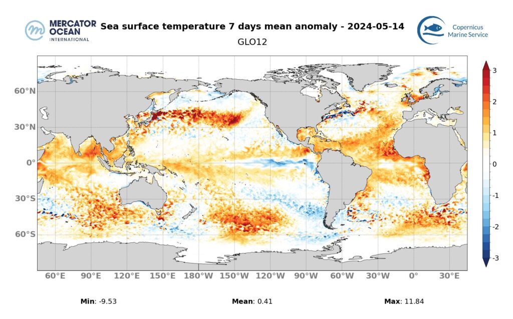 Maps of weekly temperature anomalies for marine heatwave