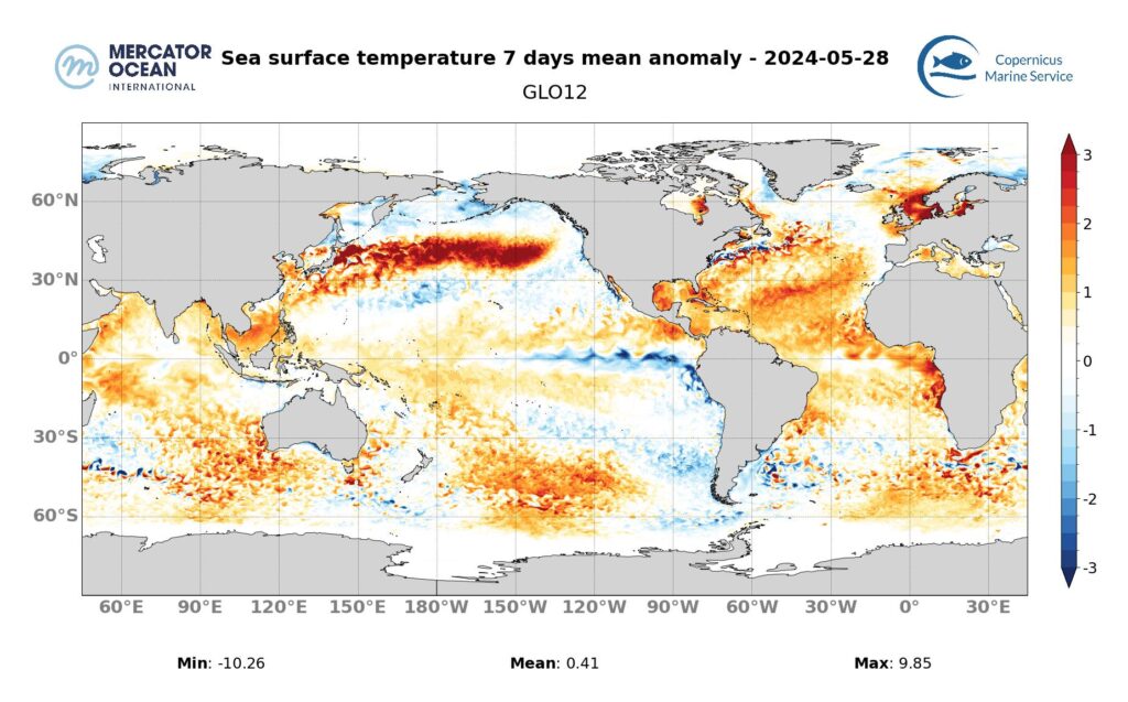 Weekly temperature anomaly maps for marine heat waves