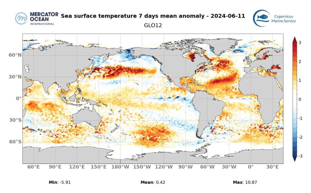 Weekly temperature anomaly maps for marine heatwaves