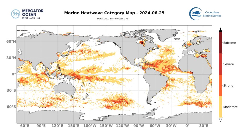 Carte catégories vague de chaleur marine