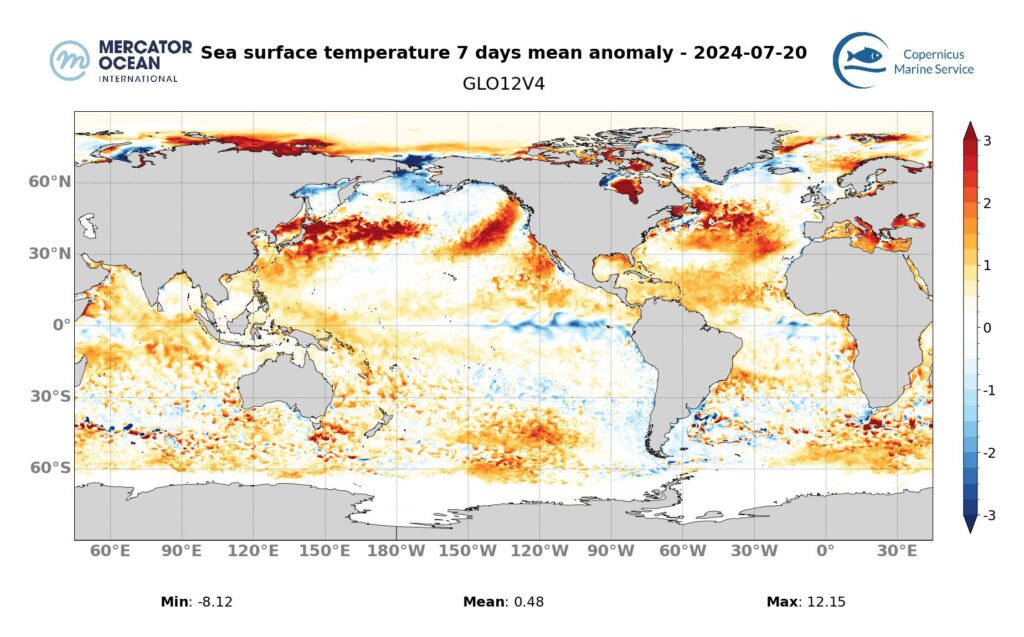 sea surface temperature anomaly map