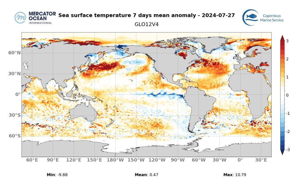 sea surface temperature anomaly map