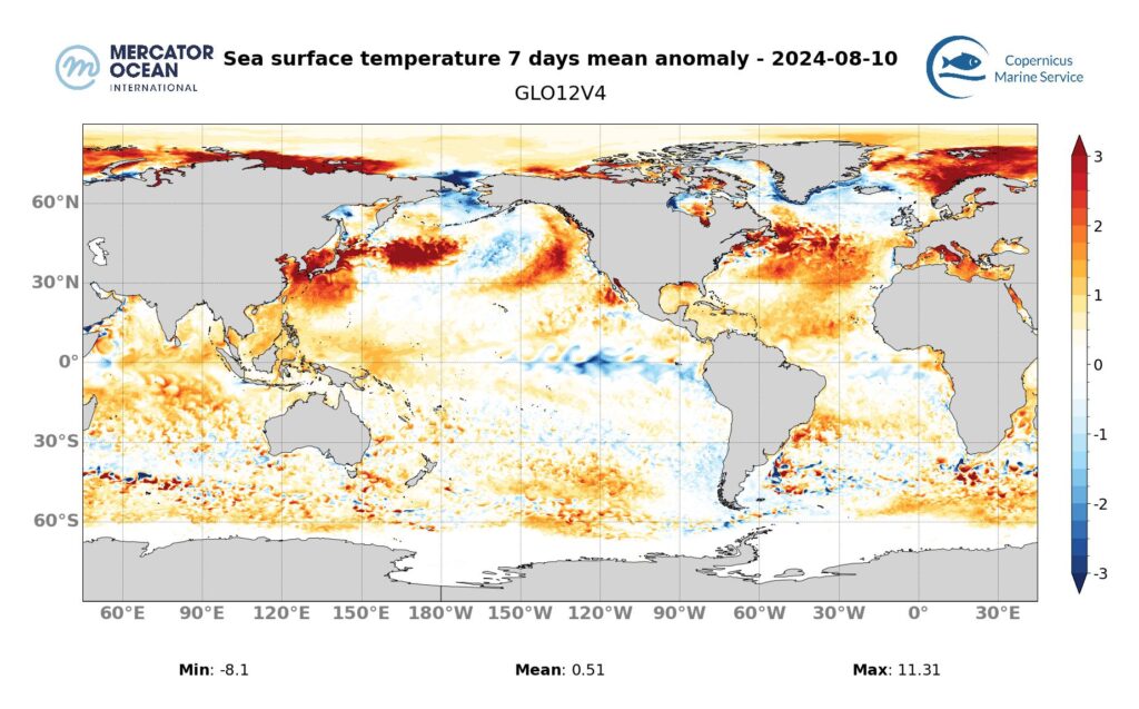 Cartes des anomalies hebdomadaires de température des vagues de chaleur marine