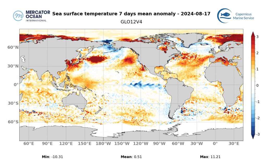 Cartes des anomalies hebdomadaires de température des vagues de chaleur marine