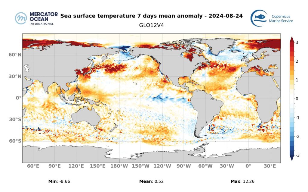 Cartes des anomalies hebdomadaires de température des vagues de chaleur marine