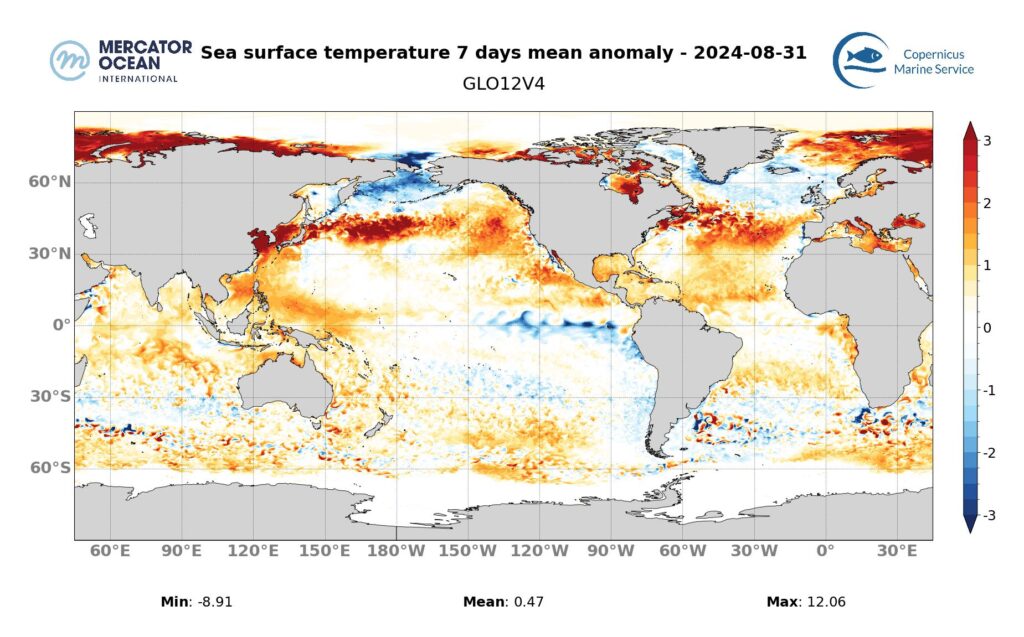 Cartes des anomalies hebdomadaires de température des vagues de chaleur marine