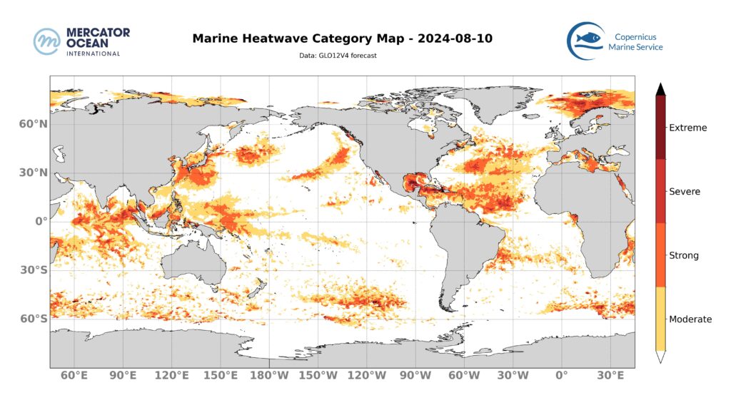 carte catégories vagues de chaleur marine