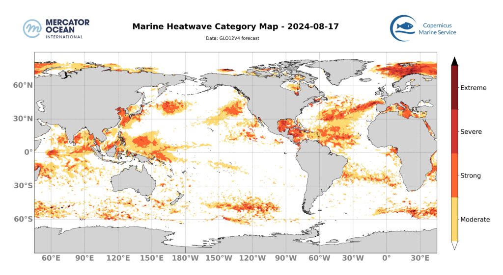 carte catégories vagues de chaleur marine