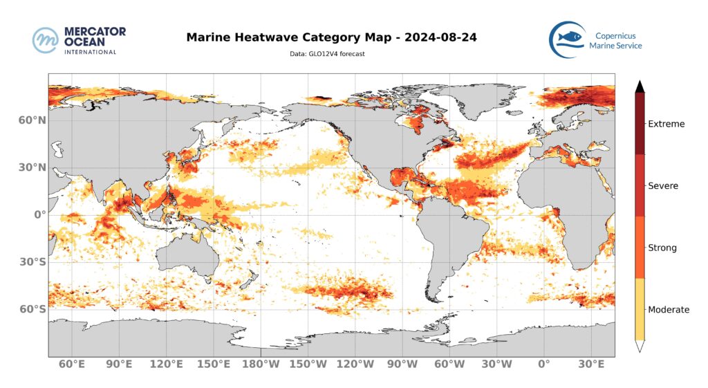 carte catégories vagues de chaleur marine