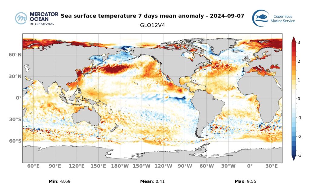 Cartes des anomalies hebdomadaires de température des vagues de chaleur marine