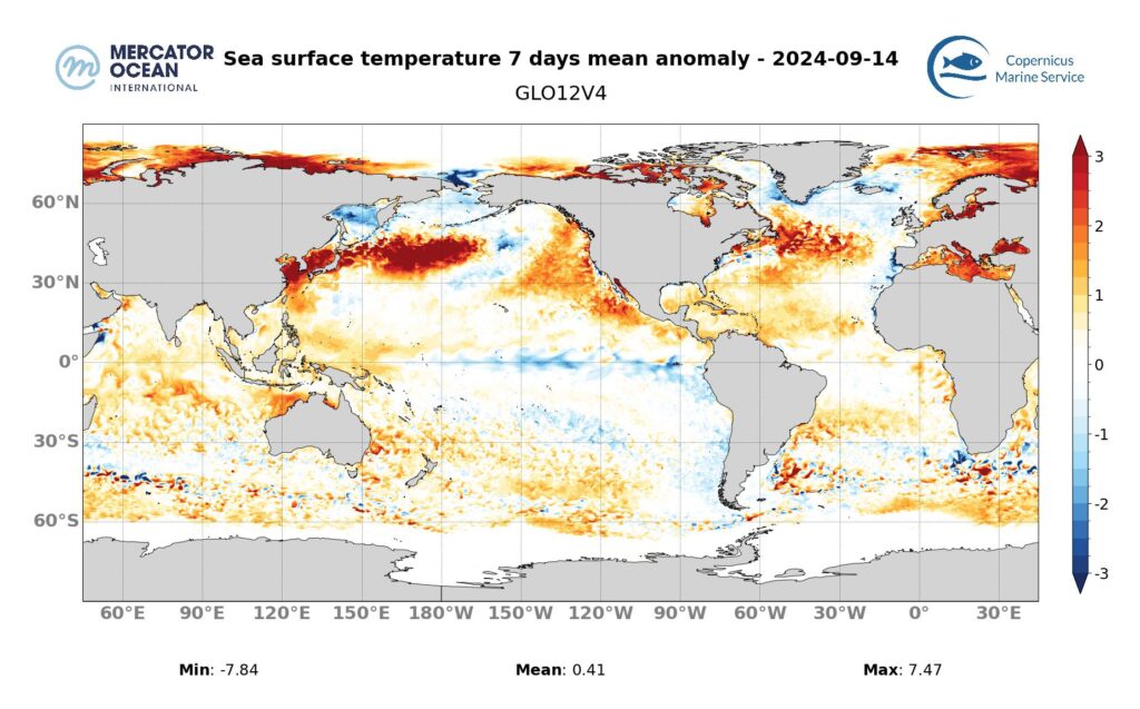 Cartes des anomalies hebdomadaires de température des vagues de chaleur marine