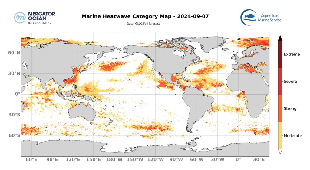 carte catégories vagues de chaleur marine