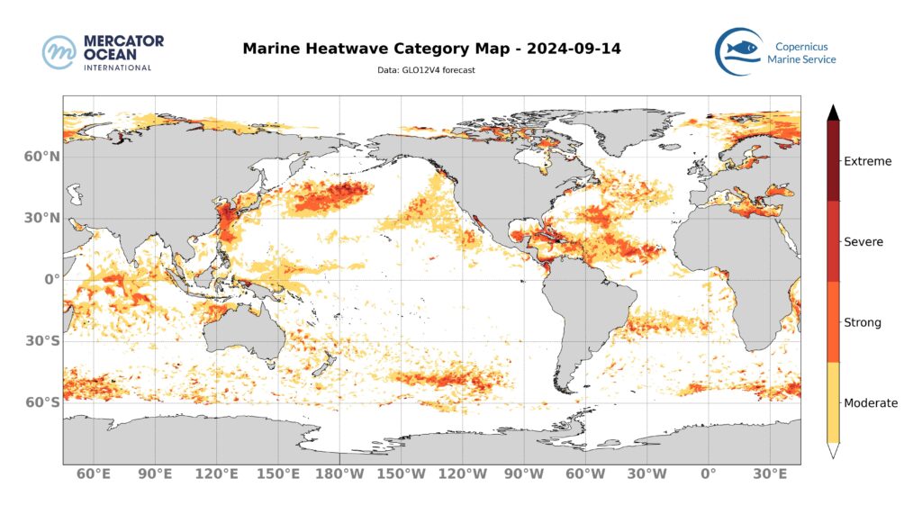 carte catégories vagues de chaleur marine