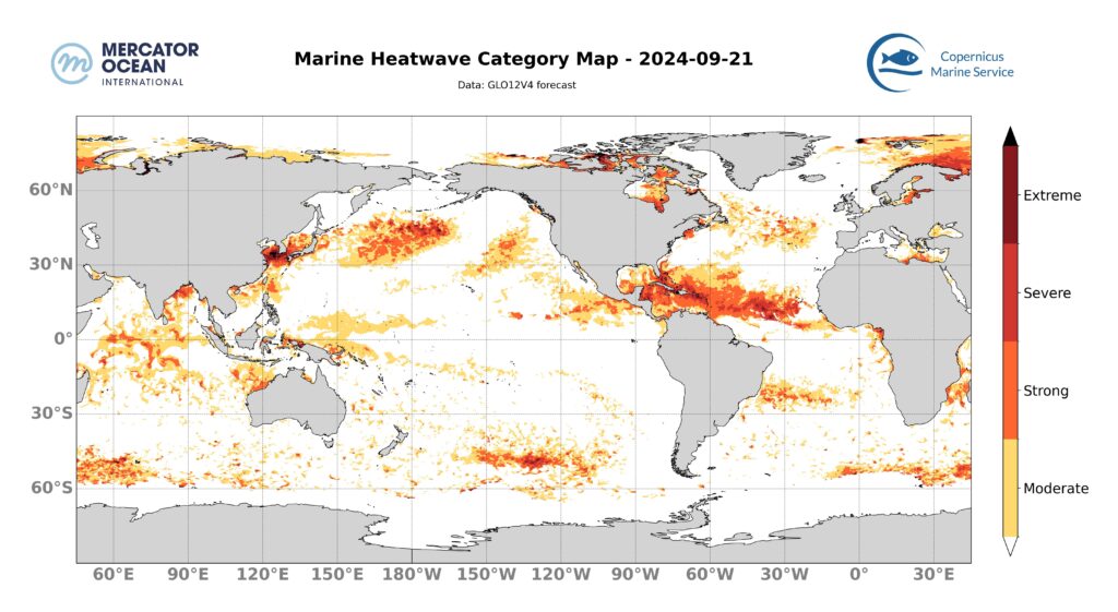 carte catégories vagues de chaleur marine